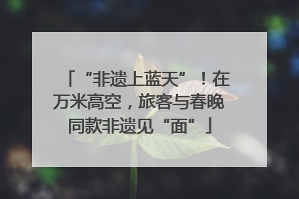 “非遗上蓝天”！在万米高空，旅客与春晚同款非遗见“面”