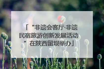 “非遗会客厅·非遗民宿旅游创新发展活动”在陕西留坝举办