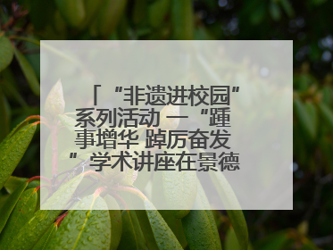 “非遗进校园”系列活动 一“踵事增华 踔厉奋发”学术讲座在景德镇陶大成功举办（图）