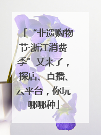 “非遗购物节·浙江消费季”又来了，探店、直播、云平台，你玩哪哪种