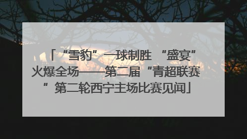 “雪豹”一球制胜 “盛宴”火爆全场——第二届“青超联赛”第二轮西宁主场比赛见闻