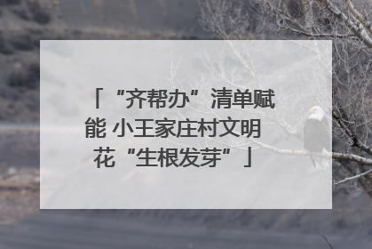 “齐帮办”清单赋能 小王家庄村文明花“生根发芽”