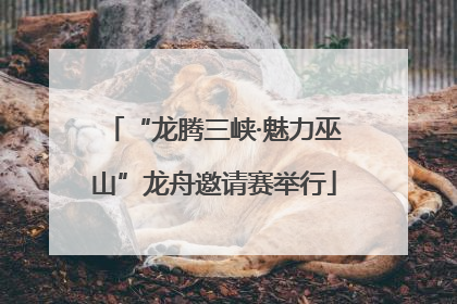“龙腾三峡·魅力巫山”龙舟邀请赛举行