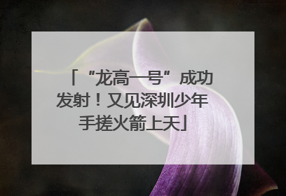 “龙高一号”成功发射！又见深圳少年手搓火箭上天