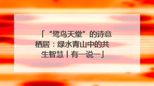 “鹭鸟天堂”的诗意栖居：绿水青山中的共生智慧丨有一说一