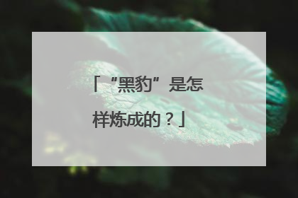 “黑豹”是怎样炼成的？
