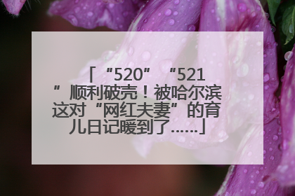 “520”“521”顺利破壳！被哈尔滨这对“网红夫妻”的育儿日记暖到了……
