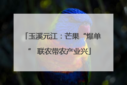 玉溪元江：芒果“爆单” 联农带农产业兴