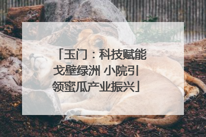 玉门：科技赋能戈壁绿洲 小院引领蜜瓜产业振兴