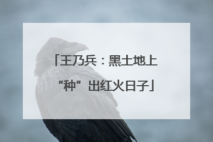 王乃兵：黑土地上“种”出红火日子