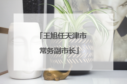 王旭任天津市常务副市长