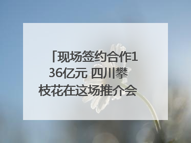 现场签约合作136亿元 四川攀枝花在这场推介会上画“图谱”列“清单”