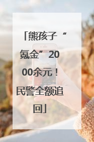 熊孩子“氪金”2000余元！民警全额追回
