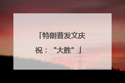 特朗普发文庆祝：“大胜”