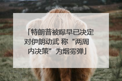 特朗普被曝早已决定对伊朗动武 称“两周内决策”为烟雾弹