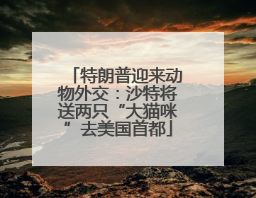 特朗普迎来动物外交：沙特将送两只“大猫咪”去美国首都