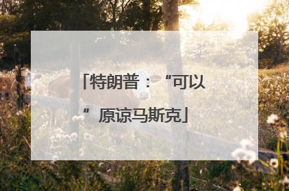 特朗普：“可以”原谅马斯克