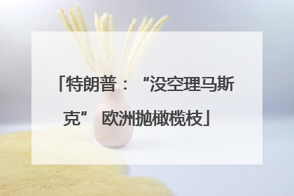 特朗普：“没空理马斯克” 欧洲抛橄榄枝