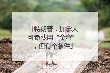 特朗普：加拿大可免费用“金穹”，但有个条件