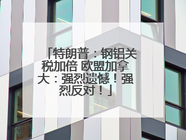 特朗普：钢铝关税加倍 欧盟加拿大：强烈遗憾！强烈反对！