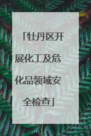 牡丹区开展化工及危化品领域安全检查