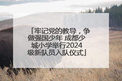 牢记党的教导，争做强国少年 成都少城小学举行2024级新队员入队仪式