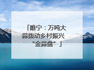 睢宁：万吨大蒜拨动乡村振兴“金蒜盘”
