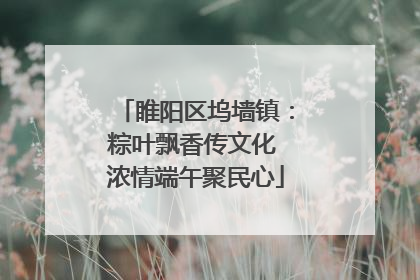 睢阳区坞墙镇：粽叶飘香传文化 浓情端午聚民心