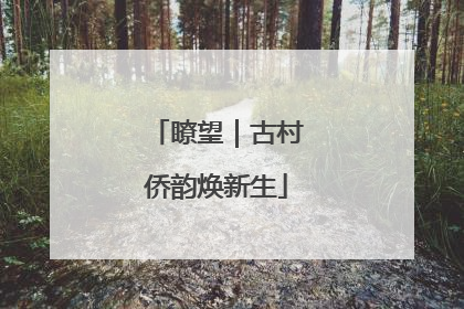 瞭望｜古村侨韵焕新生