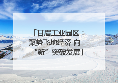 甘眉工业园区：聚势飞地经济 向“新”突破发展