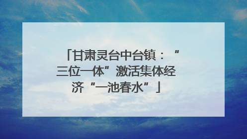 甘肃灵台中台镇：“三位一体”激活集体经济“一池春水”