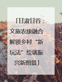 甘肃甘谷：文旅农康融合解锁乡村“新玩法”绘就振兴新图景
