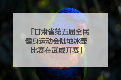甘肃省第五届全民健身运动会陆地冰壶比赛在武威开赛