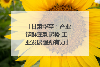 甘肃华亭：产业链群蓬勃起势 工业发展强劲有力