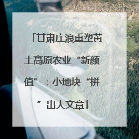甘肃庄浪重塑黄土高原农业“新颜值”：小地块“拼”出大文章