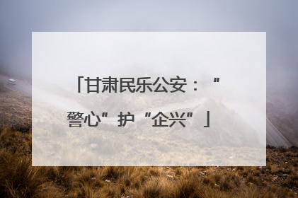 甘肃民乐公安：“警心”护“企兴”