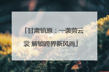 甘肃镇原：一袭剪云裳 解锁跨界新风尚