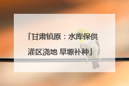 甘肃镇原：水库保供 灌区浇地 旱塬补种