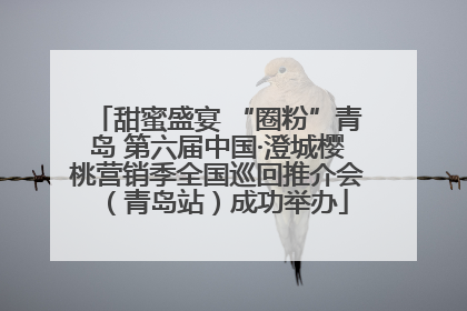 甜蜜盛宴 “圈粉”青岛 第六届中国·澄城樱桃营销季全国巡回推介会（青岛站）成功举办