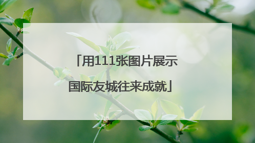 用111张图片展示国际友城往来成就