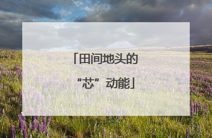 田间地头的“芯”动能