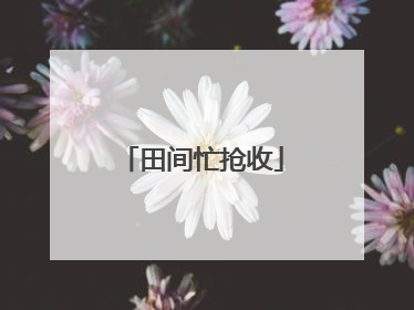 田间忙抢收