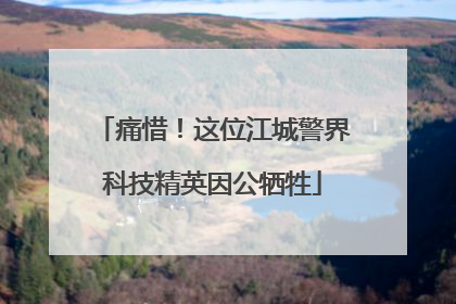痛惜！这位江城警界科技精英因公牺牲