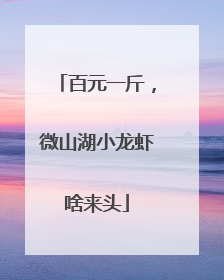百元一斤，微山湖小龙虾啥来头