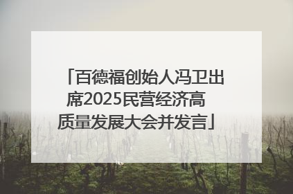 百德福创始人冯卫出席2025民营经济高质量发展大会并发言