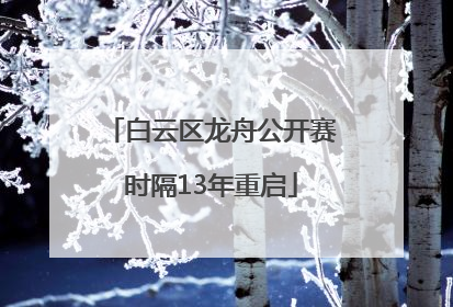 白云区龙舟公开赛时隔13年重启