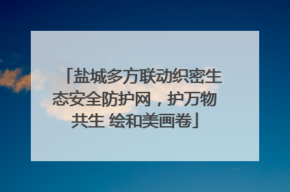 盐城多方联动织密生态安全防护网，护万物共生 绘和美画卷