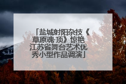 盐城射阳杂技《草原魂·顶》惊艳江苏省舞台艺术优秀小型作品调演