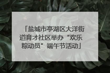 盐城市亭湖区大洋街道育才社区举办“欢乐粽动员”端午节活动