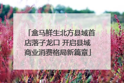盒马鲜生北方县域首店落子龙口 开启县域商业消费格局新篇章